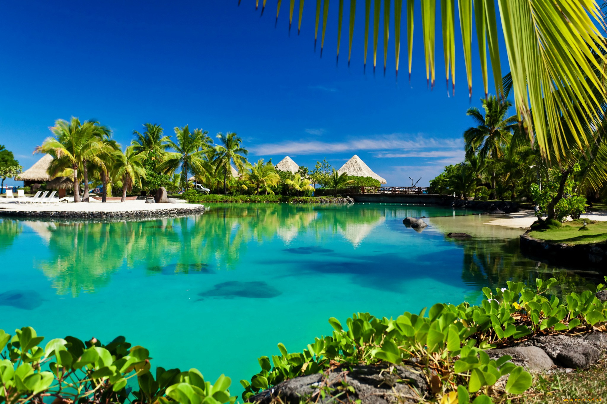 , , tropical, , , , sunshine, ocean, sea, paradise, beach, palms, , vacation, summer